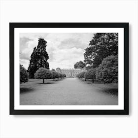 Black And White Image Of A Garden Art Print