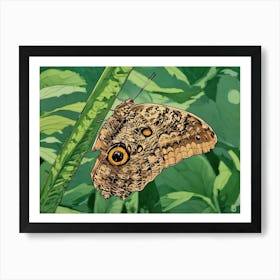 Owl Butterfly Perched on Greenery. A detailed close-up of an owl butterfly resting on a lush green plant. The intricate patterns and eye-like markings on its wings are vividly displayed, blending harmoniously with the natural surroundings. Art Print