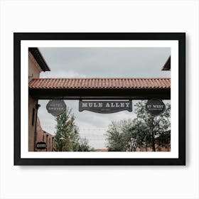 Mule Alley Signs Art Print