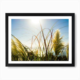 Vegetation In The Sun Art Print