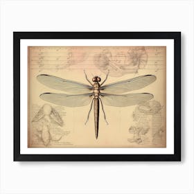 Dragonfly Vintage Newspaper 1 Art Print