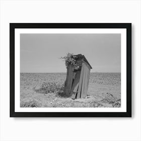 Sharecropper S Privy, New Madrid County, Missouri By Russell Lee Art Print