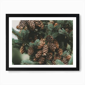 Pine Cone Filled Tree Art Print