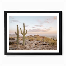 Warm Arizona Sunset Art Print