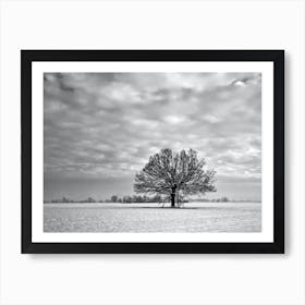 Lone Tree In The Snow 1 Art Print