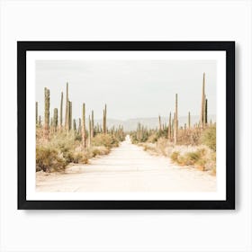 Deserted Road Art Print