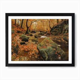 Autumn Creek Scenery Art Print