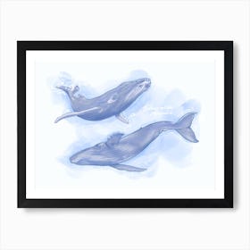 Blue Whales Art Print