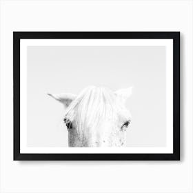 Horse's Face Art Print