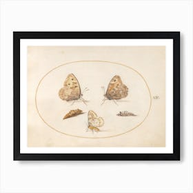 Three Butterflies And Two Chrysalides, Joris Hoefnagel Art Print