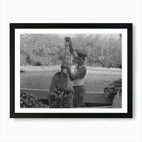 Fishermen Unloading Oysters, Olga, Louisiana By Russell Lee Art Print