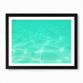 Fish In Clear Water Art Print