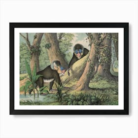 Vintage Kolb 3 Tafel 41 Mandrill Art Print