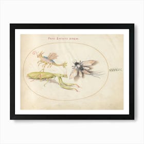 Mantis And Mayfly With An Imaginary Insect, Joris Hoefnagel Art Print