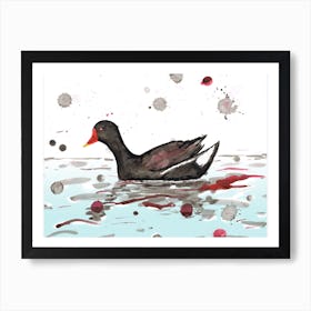 Common moorhen wild watercolor Art Print