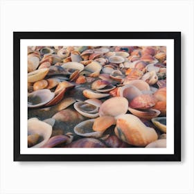 Sea Shells On The Beach 4 Art Print