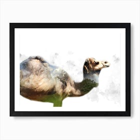 A Camel Art Illustration In A Photomontage Style 03 Art Print