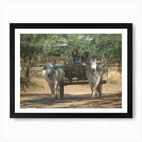 Two Oxen Pulling A Cart, Myanmar Art Print