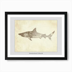 Greenland Shark Silhouette 3 Poster Art Print