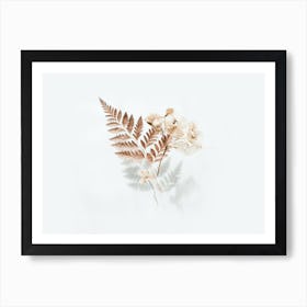 Ferns And Flowers Art Print