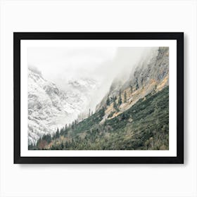 Forest Climbing Mountain Art Print