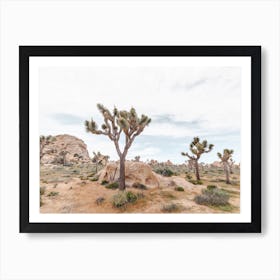 Joshua Tree Scenery Art Print