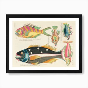 Colourful And Surreal Illustrations Of Fishes Found In Moluccas (Indonesia) And The East Indies, Louis Renard(85) Art Print