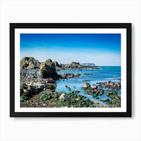 Rocks On The Coast Art Print