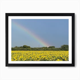 Rainbow Over Sunflowers Art Print