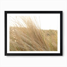 Grass in the Dunes // The Netherlands // Travel Photography Art Print
