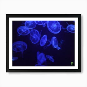 Blue Jellyfish 201907131850 12ppub Art Print