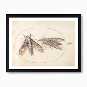 Two Hawk Moths, Joris Hoefnagel Art Print