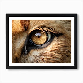 African Lion Eyes Realism Painting1 Art Print