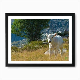 White Cow In The Mountains 20210825 139ppub Art Print