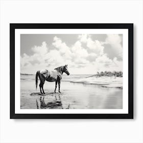 A Horse Oil Painting In Seven Mile Beach, Grand Cayman, Landscape 4 Art Print