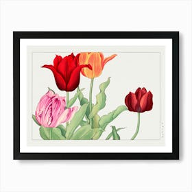 Tulips 2 Art Print