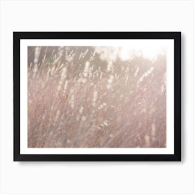 Glowing Field Art Print