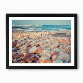 Sea Shells On The Beach 5 Art Print