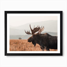 Rustic Moose Art Print