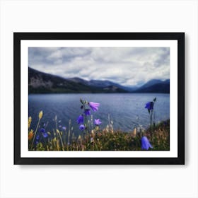 Ennerdale Water Art Print