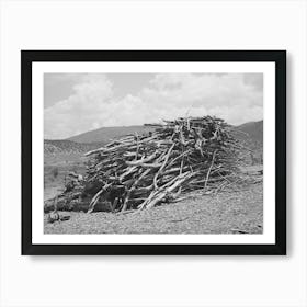 Wood Supply Of Spanish American Farmer, Amalia, New Mexico By Russell Lee Art Print