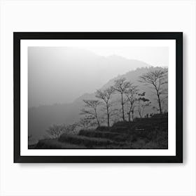 Trees In The Mountains Of Vietnam Art Print