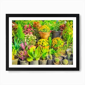 Beautiful garden of paradise - Pure Cactus - Flowers of life Art Print