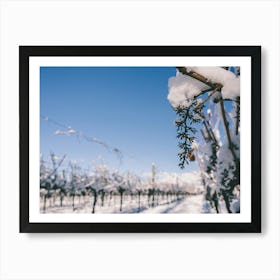 Unitltled 11 - Snow in the Vineyard Series Art Print