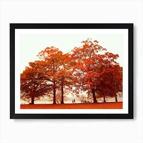 Orange Autumn In New York Art Print