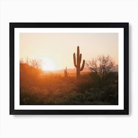 Warm Desert Sunset Art Print