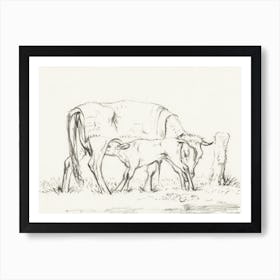 Calf Drinking With His Mother, Jean Bernard Art Print