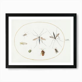 Seven Insects, Including A Hawthorn Shield Bug, Crane Flies, And A Hoverfly, Joris Hoefnagel Art Print