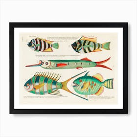 Colourful And Surreal Illustrations Of Fishes Found In Moluccas (Indonesia) And The East Indies, Louis Renard(84) Art Print