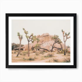 Desert Landscape Art Print